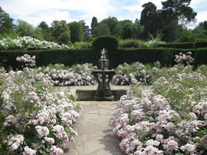 hever_castle_rozen