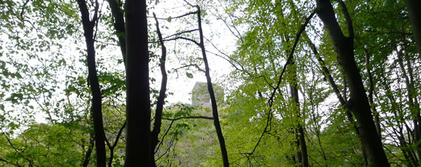 waldbreitbach_im_wiedtal