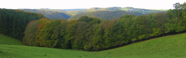 waldbreitbach_im_wiedtal