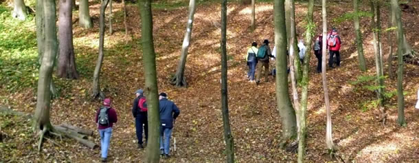 waldbreitbach_im_wiedtal