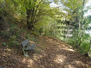 waldbreitbach_im_wiedtal