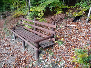 waldbreitbach_im_wiedtal