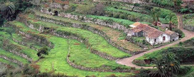 lagomera_terrassenlandschap