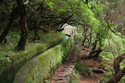 madeira_levada