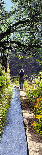 madeira_levada