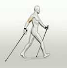 nordic_walking