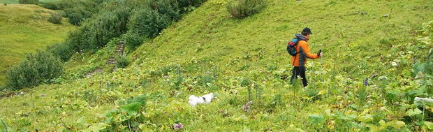 oostenrijk_steeg_norbert_sitz