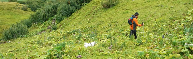 oostenrijk_steeg_norbert_sitz