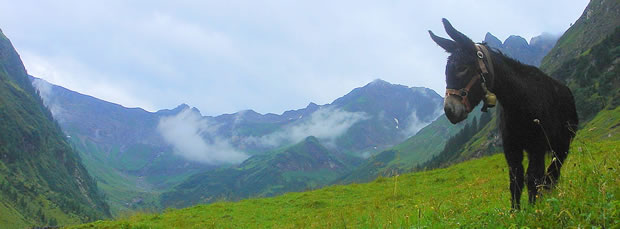 oostenrijk_steeg_sulzalm