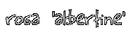roos_albertine