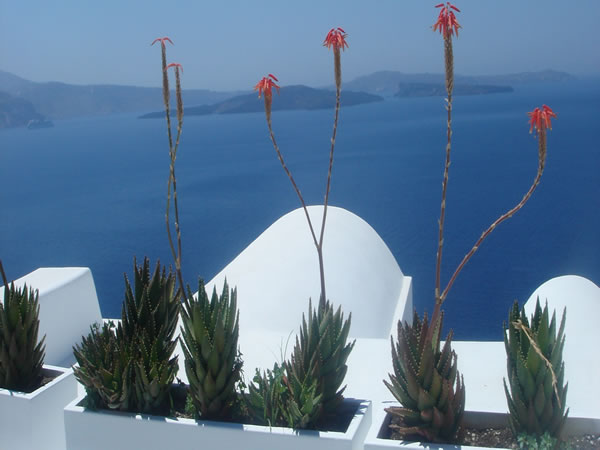 santorini_ia