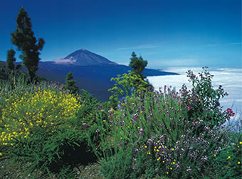 tenerife_el_teide